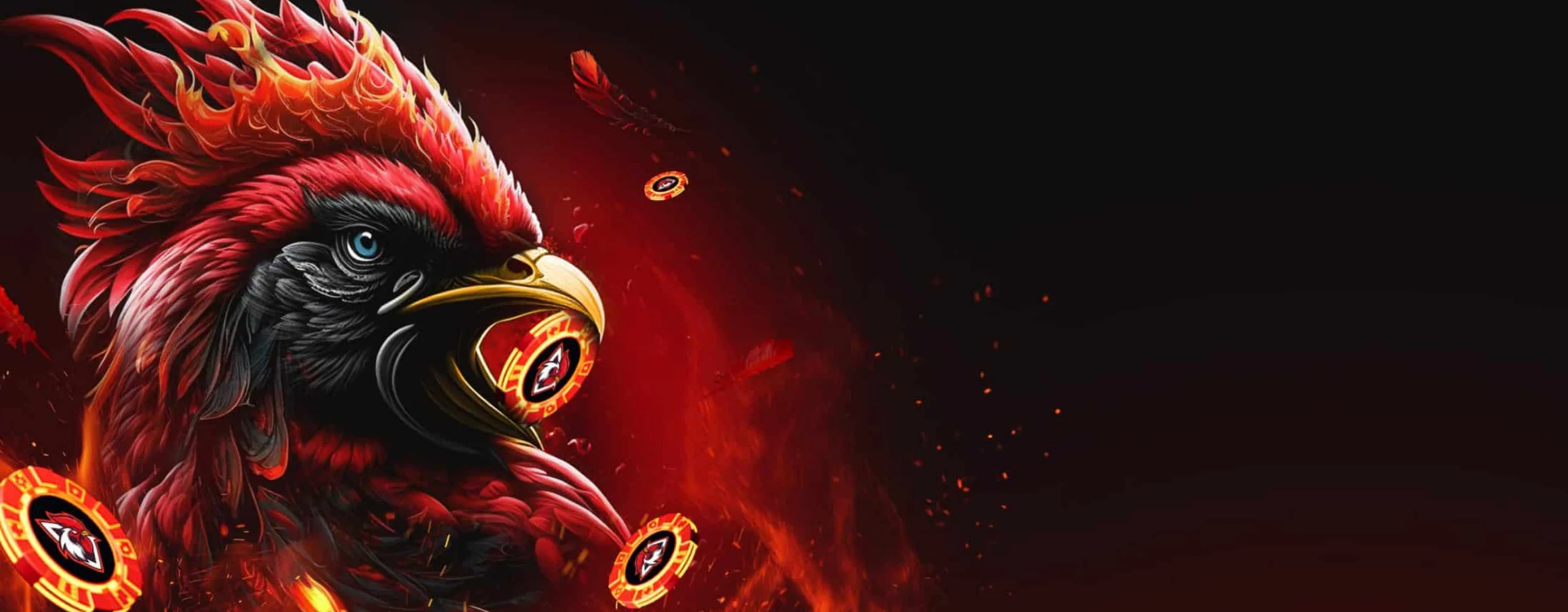 roosterbet baner